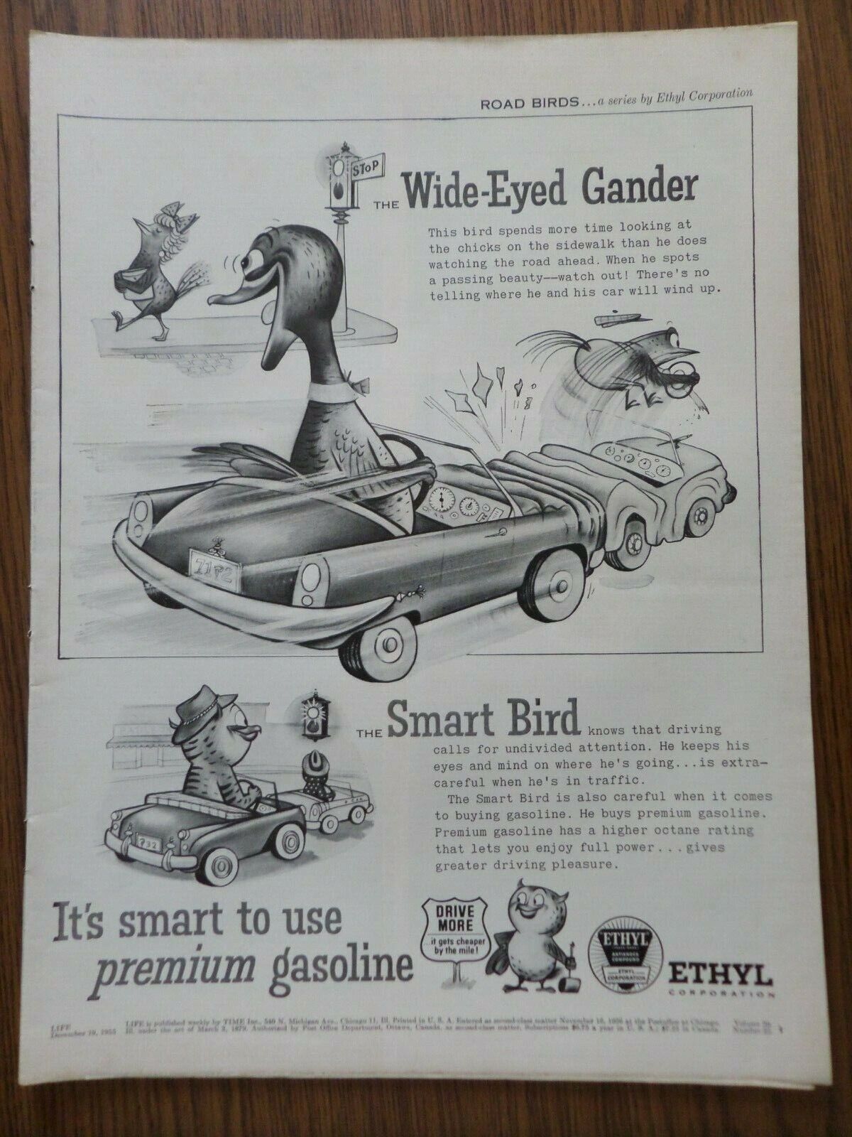 1955 Ethyl Ad   Road Birds A Series By Ethyl Wide-eyed Gander & Smart Bird